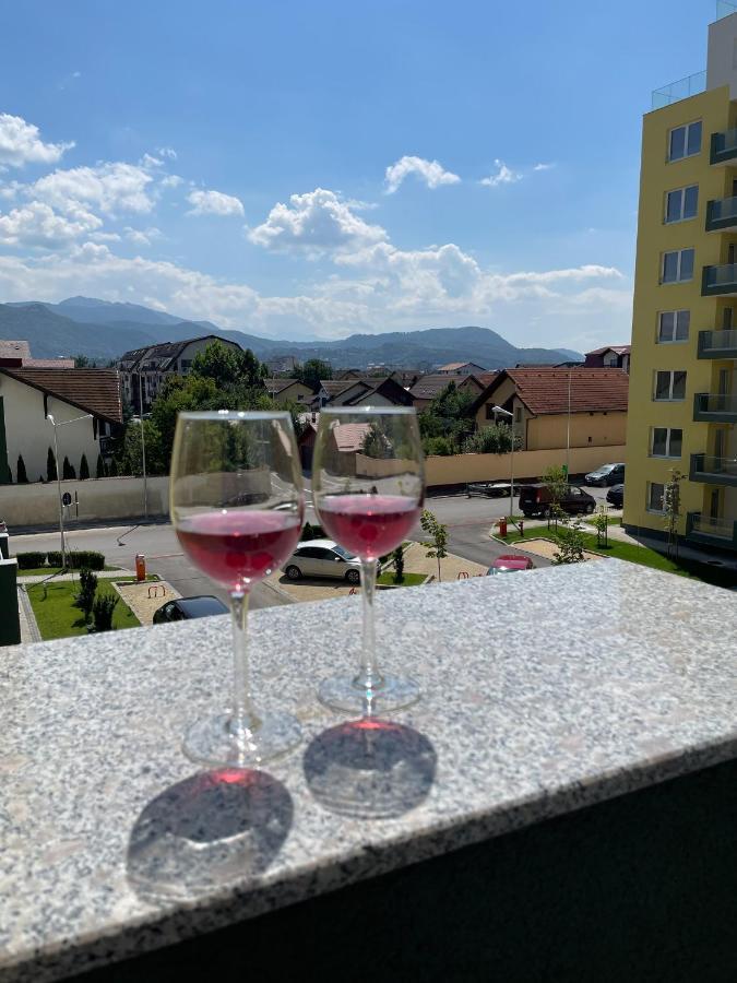 Mountain View Maria Apartment Brasov Ngoại thất bức ảnh